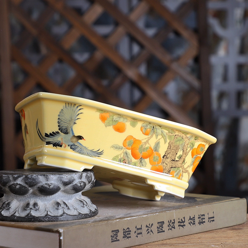 وعاء بونساي مستطيل من البورسلي - مراجعة Bonsai Garden Chinese Garden وسعره