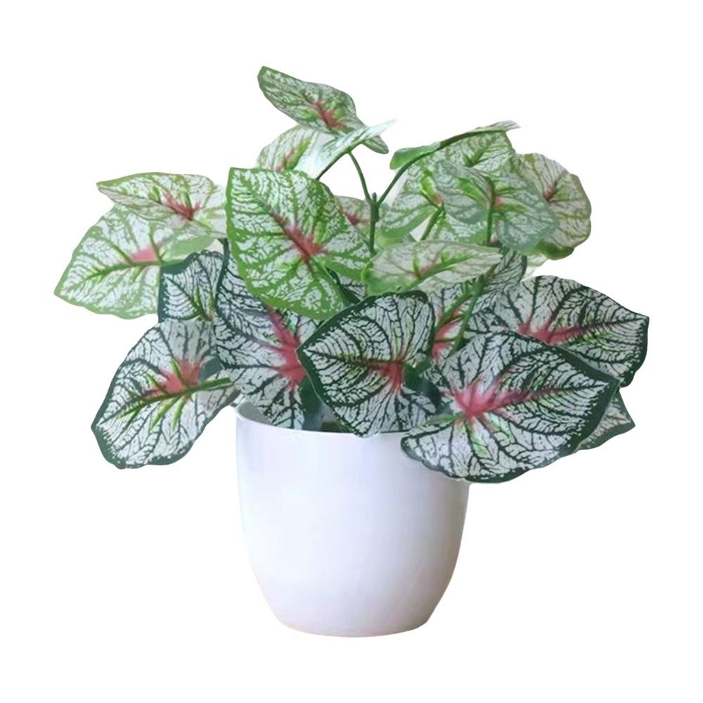 زهور اصطناعية صغيرة في أواني،  - مراجعة Bonsai Repotting Mat وسعره