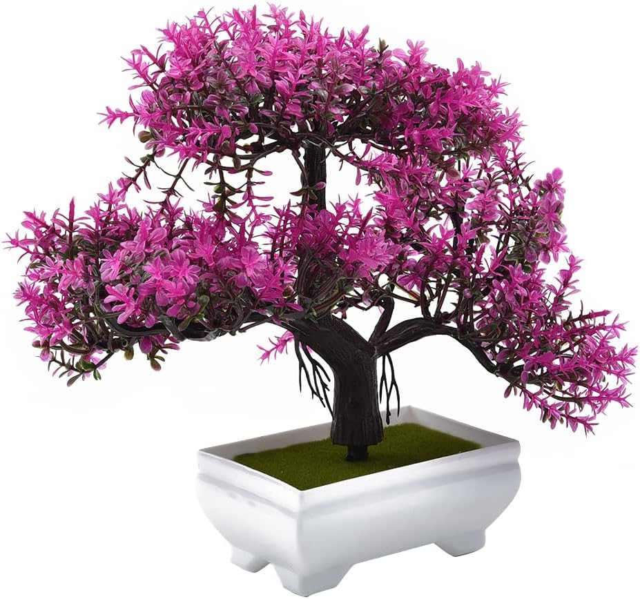 نباتات اصطناعية بونساي نبات صن - مراجعة Bonsai Repotting Mat وسعره